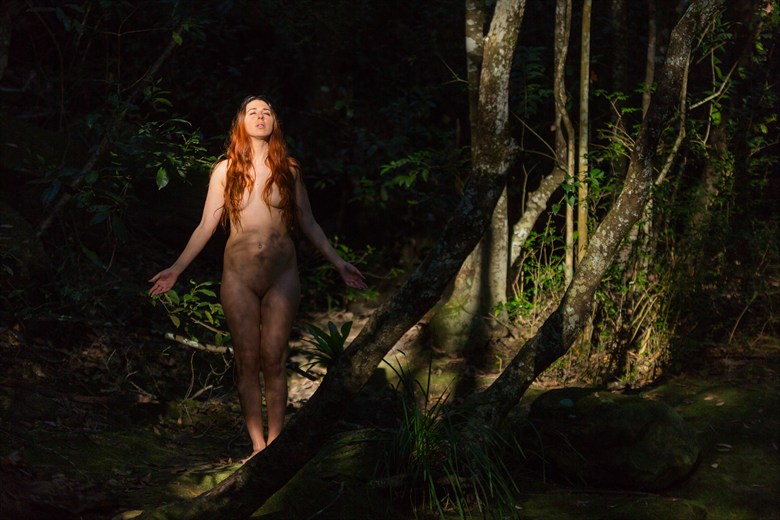 Forest Nymph Artistic Nude Photo by Photographer Stephen Wong