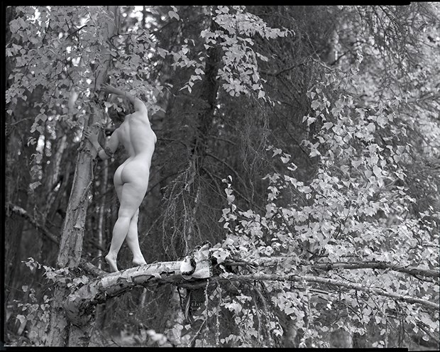 Forest figure study Artistic Nude Photo by Photographer bthphoto