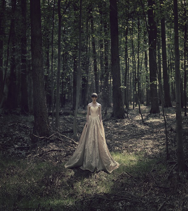 Forest wedding Nature Photo by Photographer profilepictures
