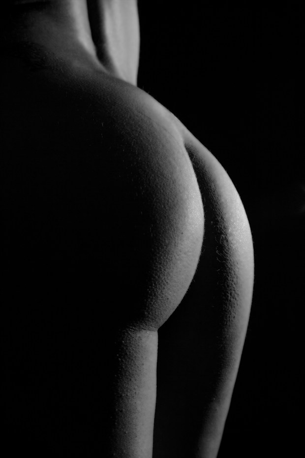 Form Study of an Old Muse_3 Artistic Nude Photo by Photographer A. Different Breed