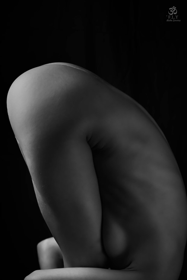 Forward Fold Artistic Nude Photo by Photographer FLY Media Services