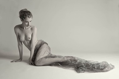 Fredau and Organza Artistic Nude Photo by Photographer Rascallyfox