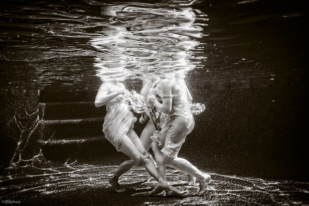 Frolicking Water Nymphs Nature Photo by Photographer jody frost