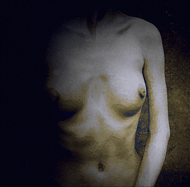 From the West  Artistic Nude Artwork by Photographer Marty C 