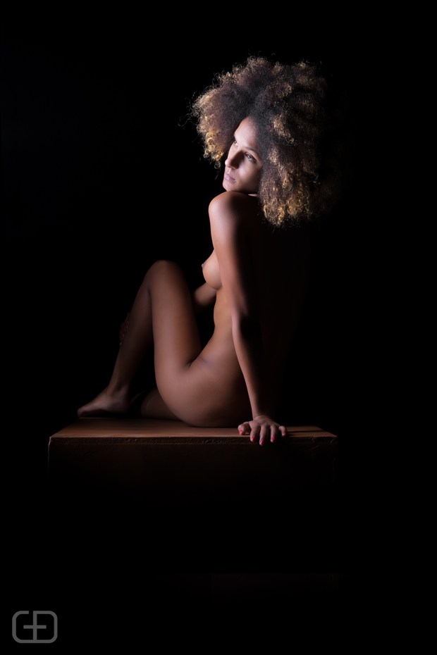 G+D Photography   Sophie Artistic Nude Photo by Photographer GD Photography