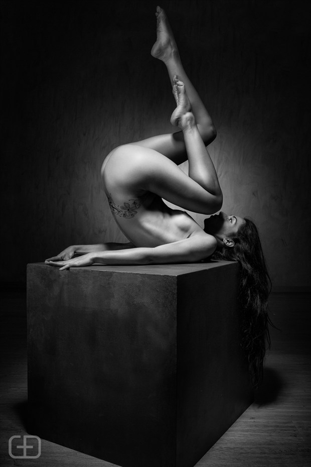 G+D Photography   Tamara Artistic Nude Photo by Photographer GD Photography