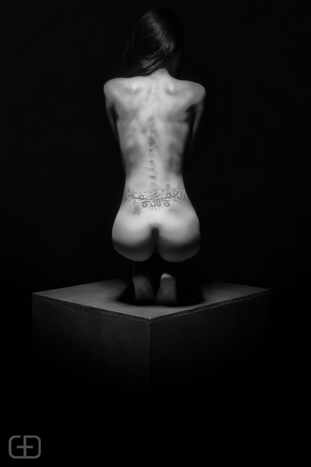 G+D Photography   Tamara Artistic Nude Photo by Photographer GD Photography