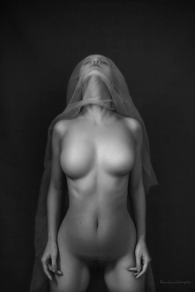 Geiger Artistic Nude Photo by Photographer Andrew Harewood