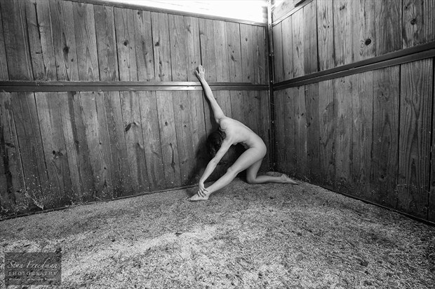 Geometric Nude Artistic Nude Photo by Photographer Stan Freedman