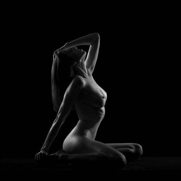 Geometry Artistic Nude Photo by Photographer PhilippeDemeuseStudio12