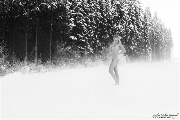 Glaciem Regina Artistic Nude Artwork by Photographer Anders Nielsen