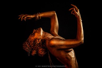 Gold II Artistic Nude Photo by Photographer nicnic