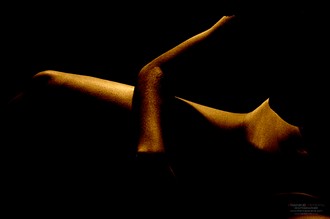 Golden Artistic Nude Photo by Photographer Frankie Pereira