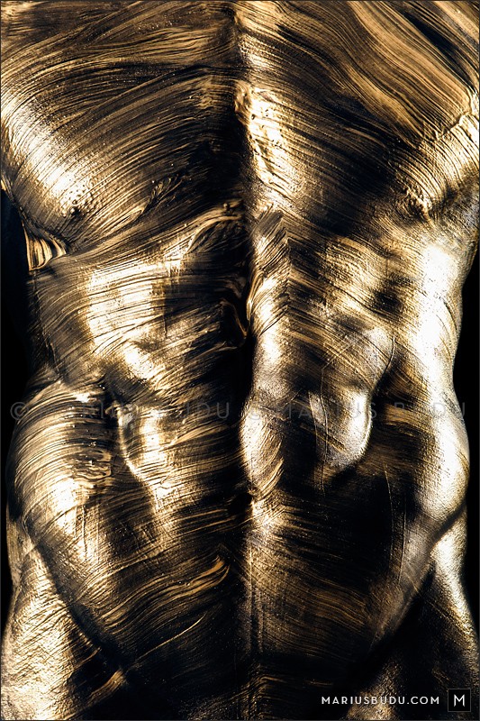 Golden Artistic Nude Photo by Photographer Marius Budu