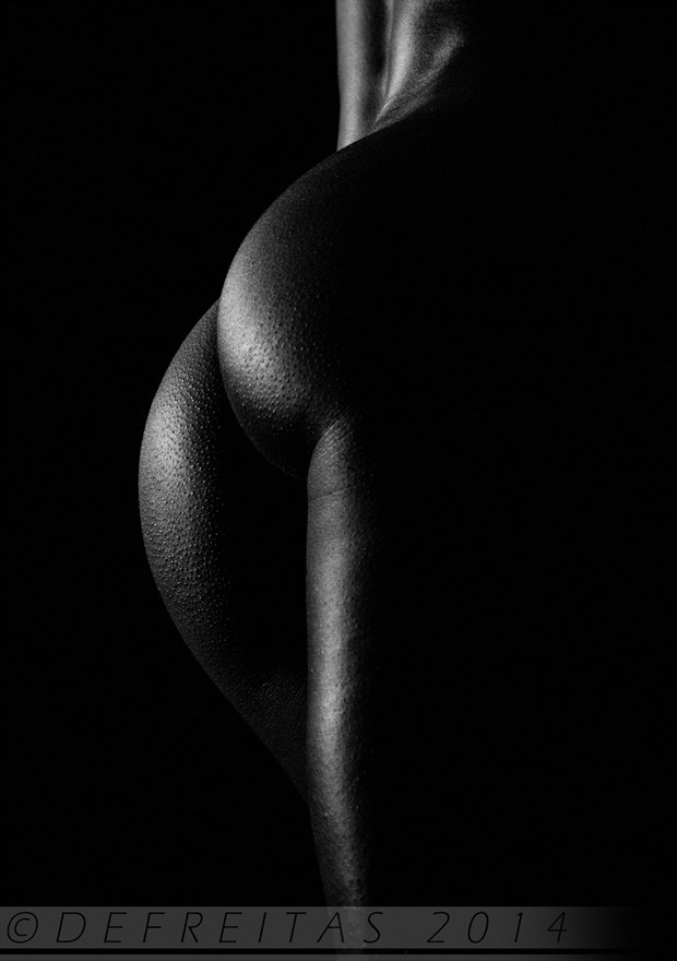 Goose Bumps Artistic Nude Photo by Photographer Kamal