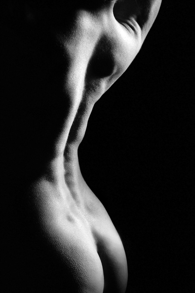 Goosebumps Series  Spine Shot Artistic Nude Photo by Model freespirit