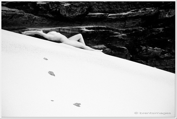 Grace of little things Artistic Nude Photo by Photographer Brentsimages