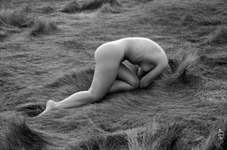 Grasslands Artistic Nude Photo by Photographer A. S. White