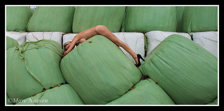 Green bags Artistic Nude Photo by Photographer Marc Naesen