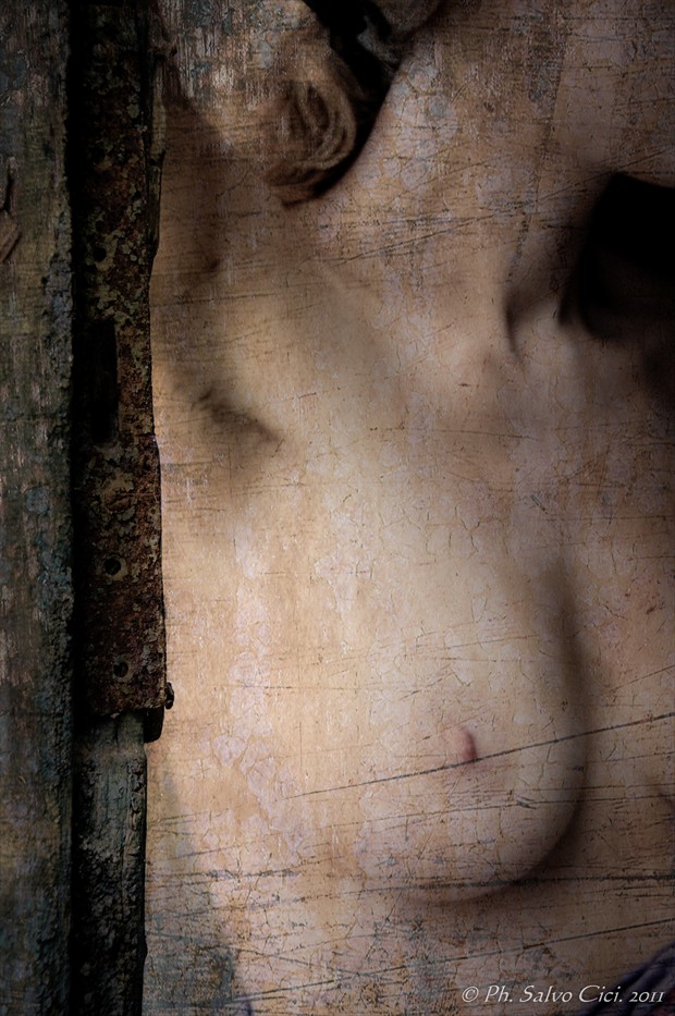 Grunge Artistic Nude Artwork by Photographer salvocici