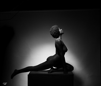 HEAD HELD HIGH   P D S.R Artistic Nude Artwork by Photographer VisualVibe