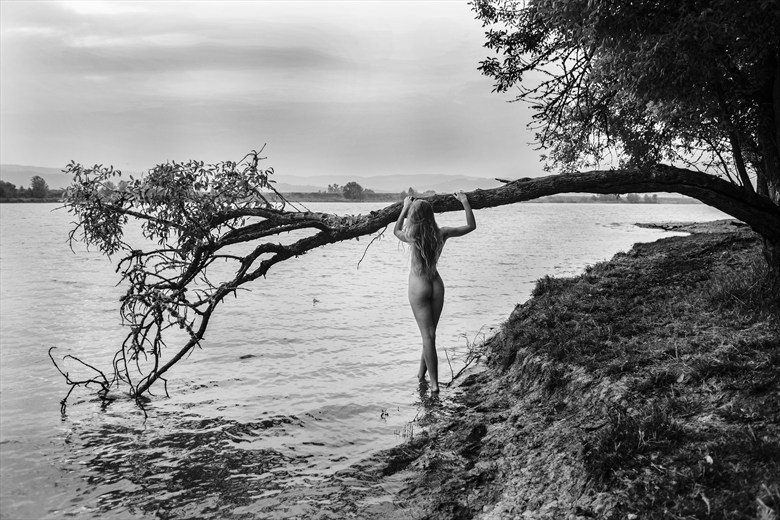 Hailey at tree Artistic Nude Photo by Photographer Joe Klune Fine Art