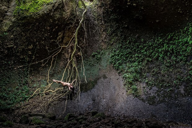 Hanging in the Secret Glade Artistic Nude Photo by Photographer MarcW