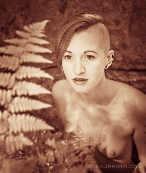 Hannah in ferns  Artistic Nude Artwork by Photographer EAJ photo