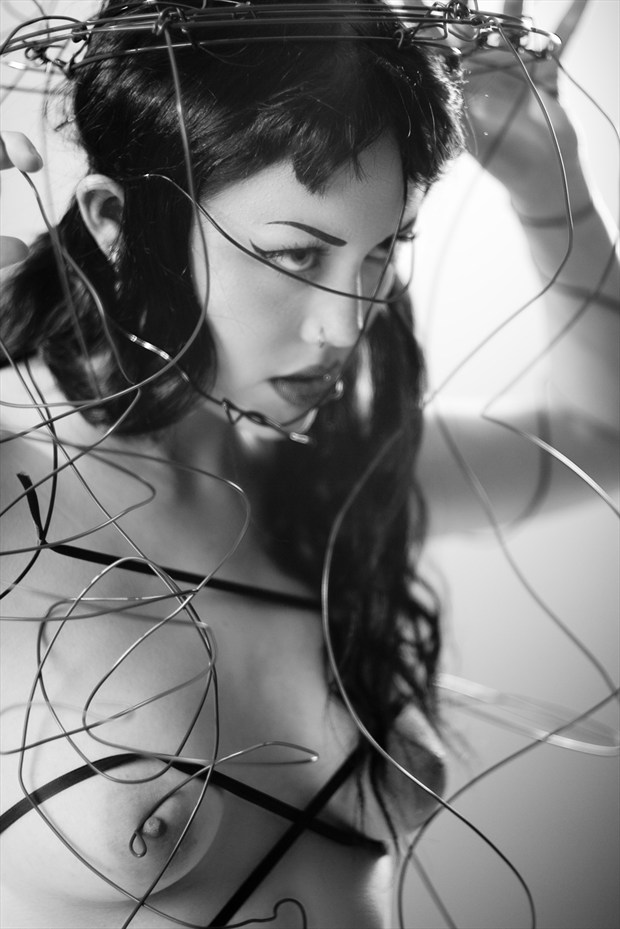 Hard Wire, Soft Skin Artistic Nude Photo by Photographer Dexellery Photo