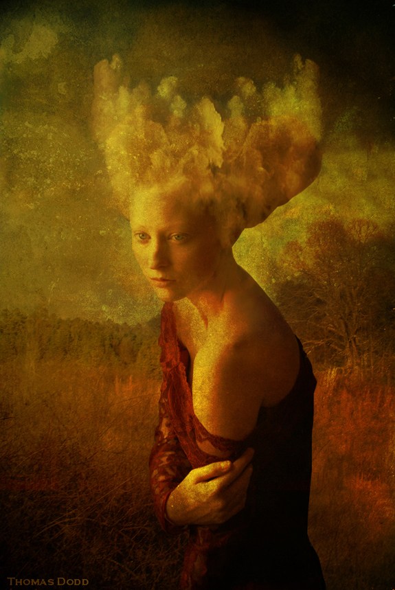 Head in the Clouds Nature Photo by Photographer Thomas Dodd