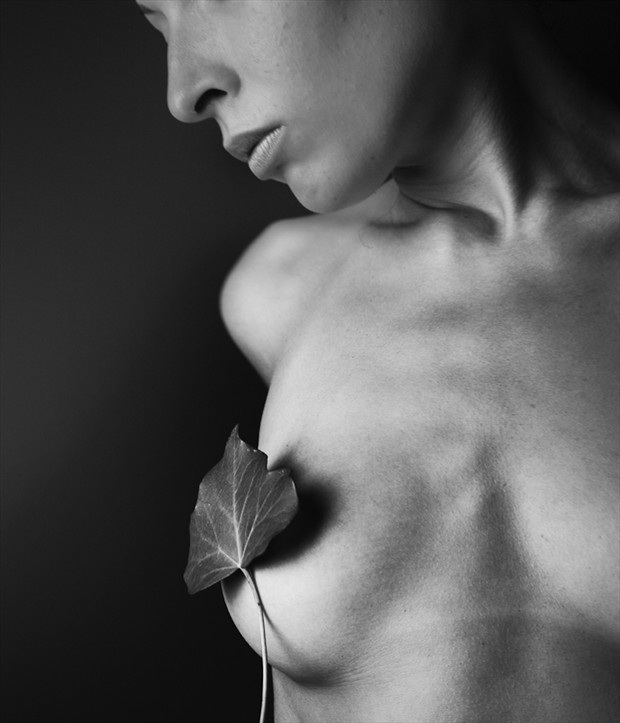 Hedera Helix Series Implied Nude Photo by Photographer Alexander Kharlamov