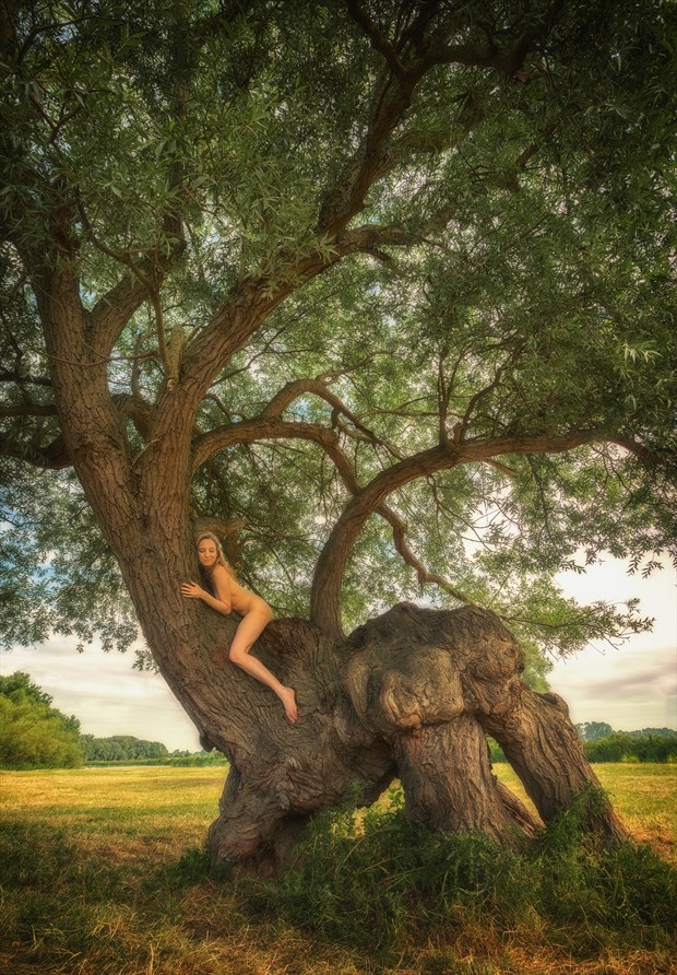 Hemingford Abbots Willow Beast Artistic Nude Photo by Photographer TreeGirl
