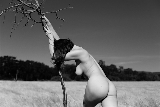 Hiding From The Sun Artistic Nude Photo by Photographer Andrew Kaiser