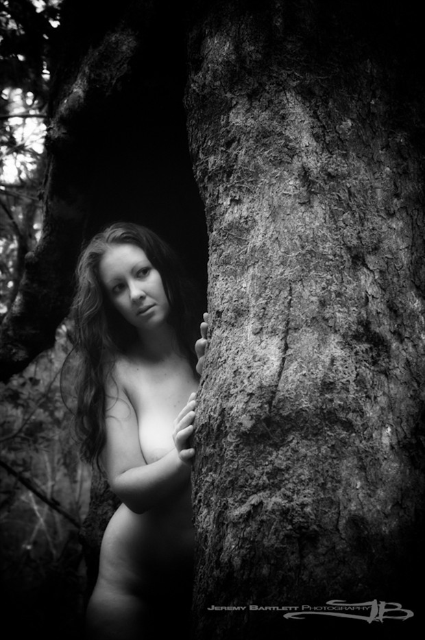 Hiding In The Woods Artistic Nude Photo by Photographer Jeremy Bartlett