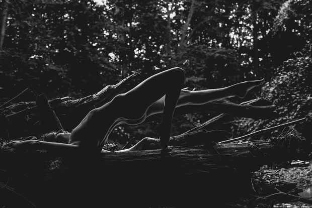 Highlighted Artistic Nude Photo by Photographer MadiouART