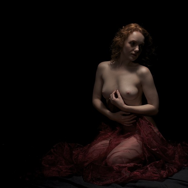 Holly in a pale light Artistic Nude Photo by Photographer Randall Hobbet