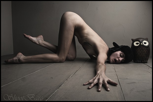 Hoo Artistic Nude Photo by Photographer Provoculos