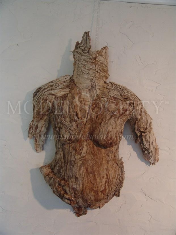 Humanature Series 2014 Artistic Nude Artwork by Artist Kim Perrier