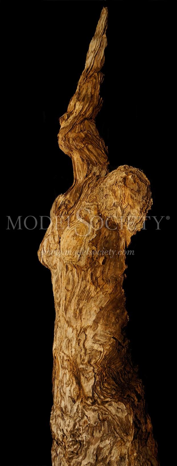 Humanature Series 2015 Artistic Nude Artwork by Artist Kim Perrier