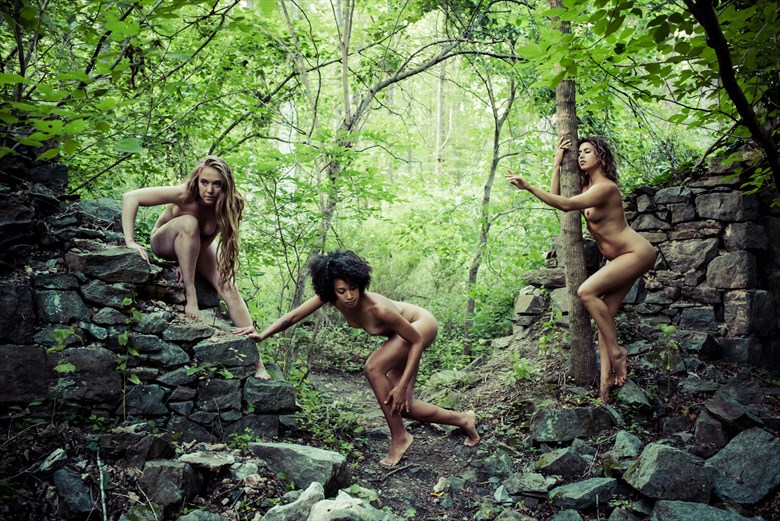 I can't see the forest for the trees Artistic Nude Photo by Photographer DaveMylesPhotography