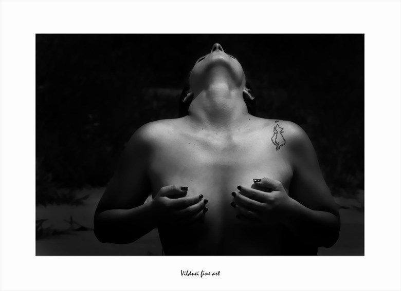 ILUMINATA Artistic Nude Artwork by Artist VILDNEI ANDRADE