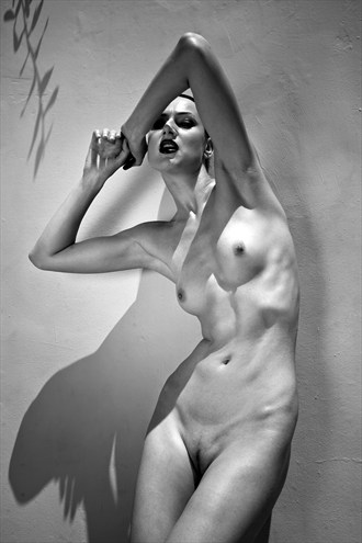 Ieva Artistic Nude Photo by Photographer Photography for the SOUL