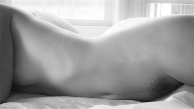 Illuminated Curves Artistic Nude Photo by Photographer Opp_Photog