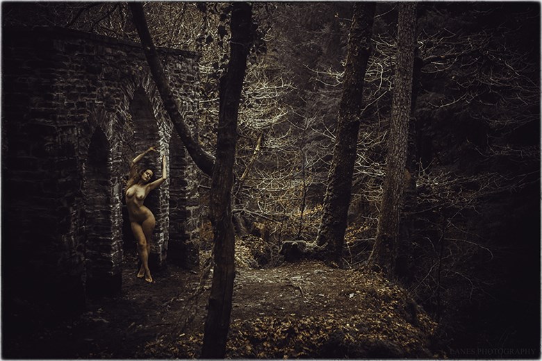 In The Night Garden Artistic Nude Photo by Photographer Lanes Photography