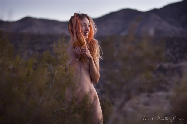 In The Wind Artistic Nude Photo by Photographer Dexellery Photo