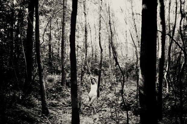In The Wood Lingerie Photo by Photographer Marian Sztrecsko
