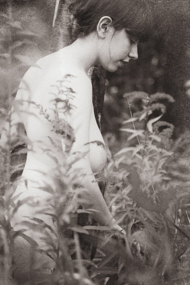 In the Garden Artistic Nude Photo by Photographer Openshaw Photo