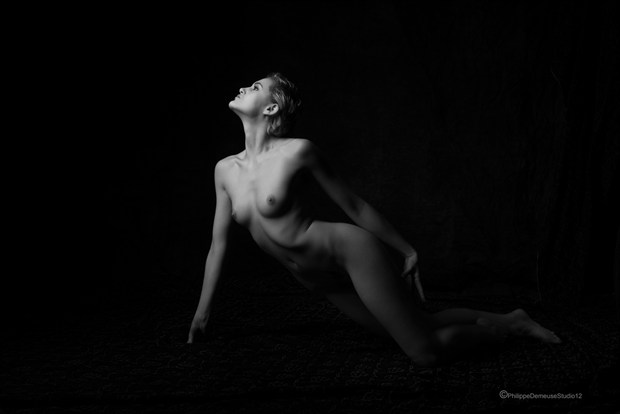 In the Light Artistic Nude Photo by Photographer PhilippeDemeuseStudio12