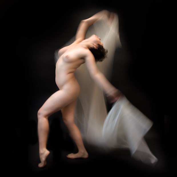 In the Name of Beauty.014 Artistic Nude Photo by Photographer DENNIS WICKES
