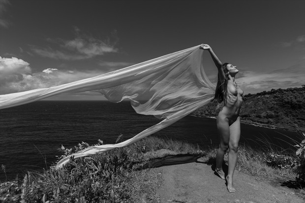 In the Wind Artistic Nude Photo by Photographer Opp_Photog
